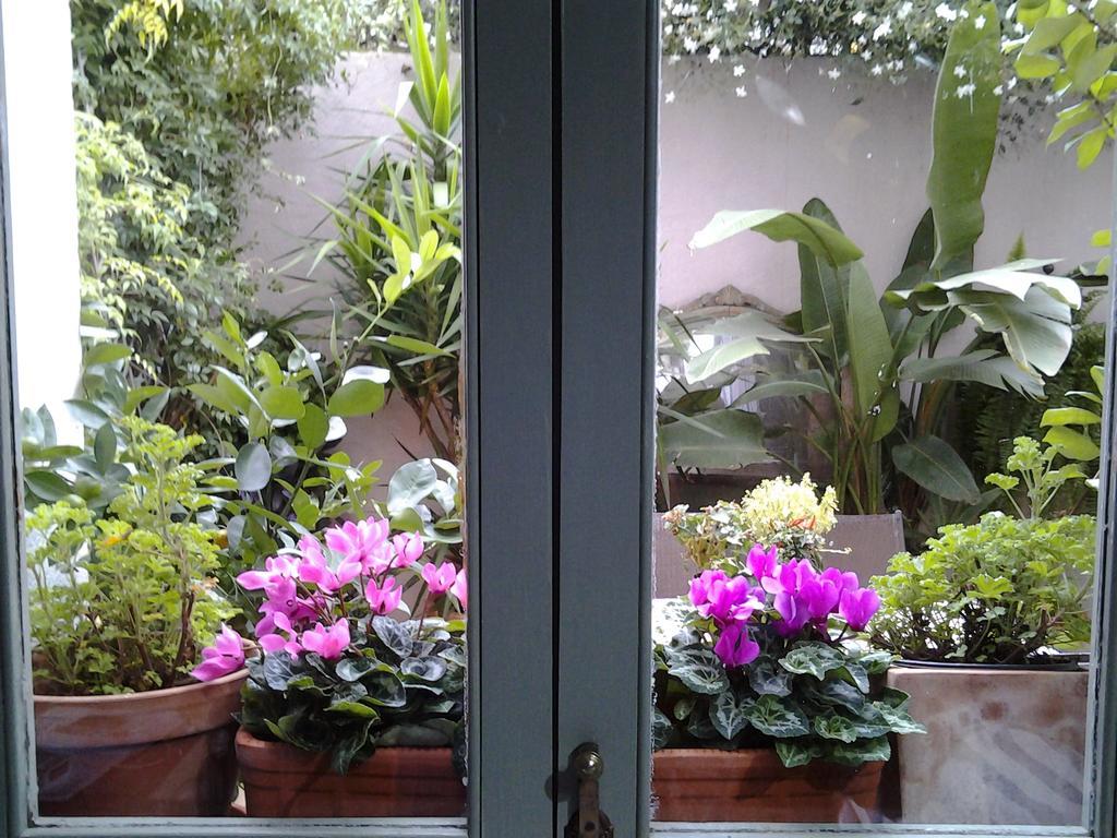 Benigembla Casa Les Olives - Adults Only旅馆 外观 照片